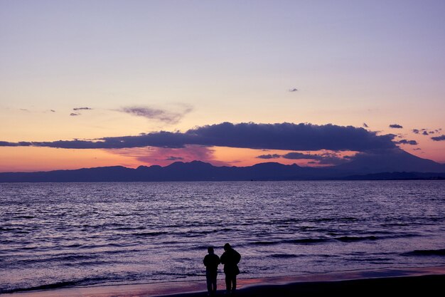 Scenics - nature in fujisawa