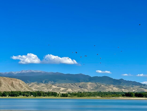 Scenics - nature in gaomiao