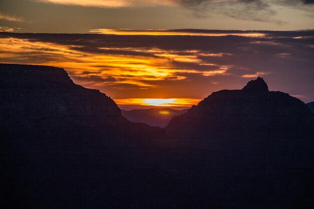 Scenics - nature at grand canyon village