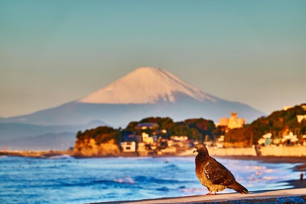 写真 カマキュラの風景 - 自然