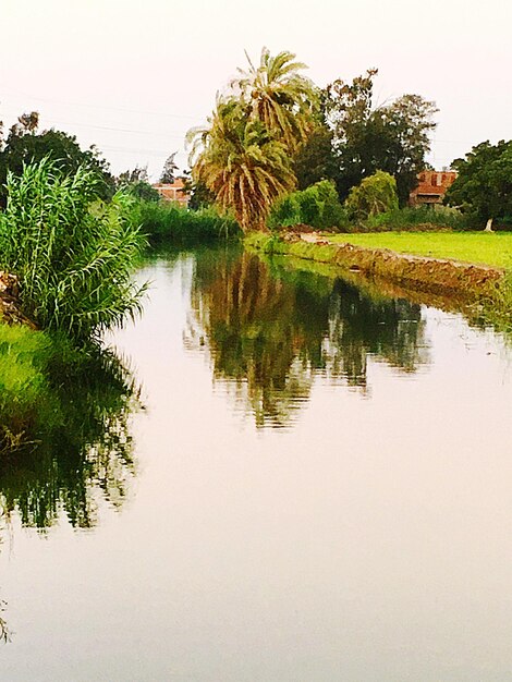 Scenics - nature in kafr az zayyat