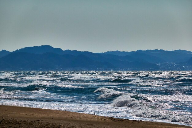 Scenics - nature in kamakura