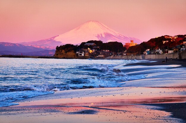 Photo scenics - nature in kamakura