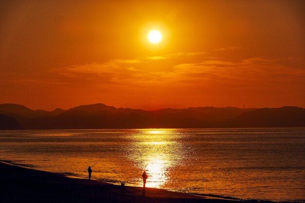 Scenics - nature in kamakura