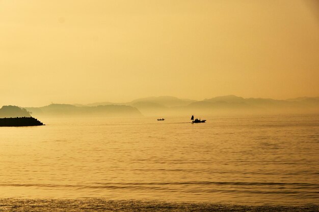 Scenics - nature in kamakura