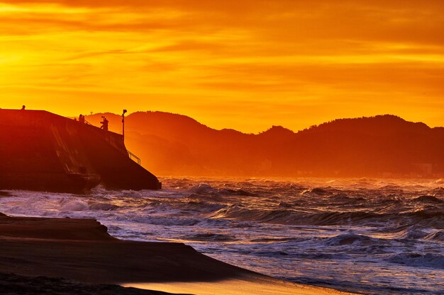 Scenics - nature in kamakura