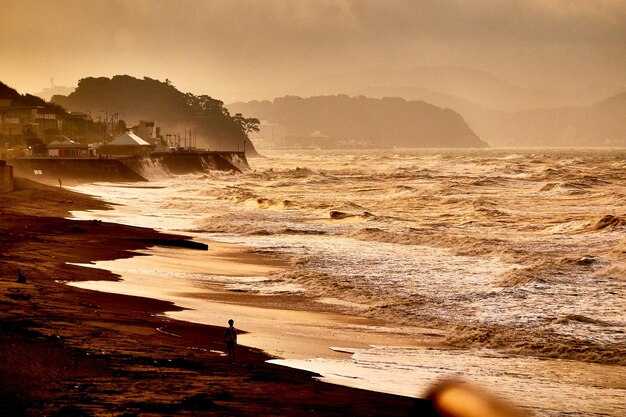 Scenics - nature in kamakura