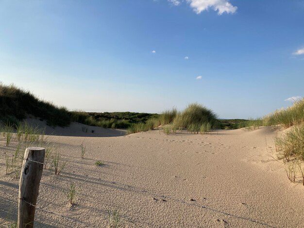 Scenics - nature in katwijk aan zee