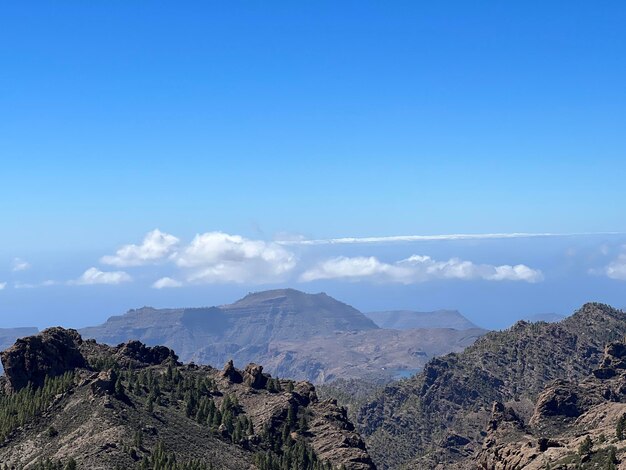 Scenics - nature in la culata