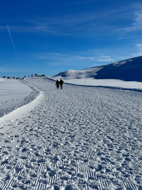 Scenics - nature in les diablerets