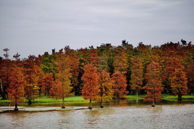 Scenics - nature in lianhu