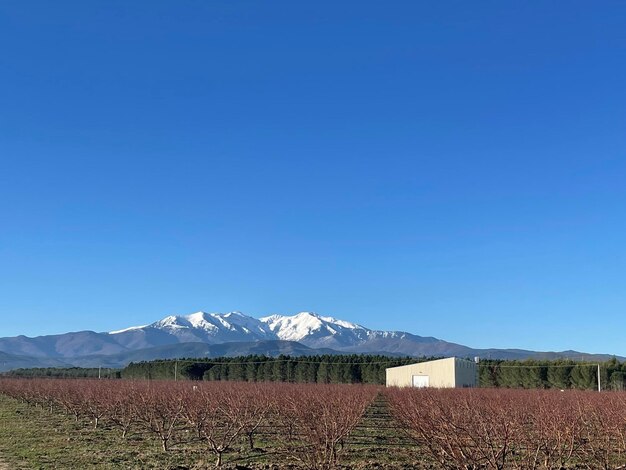 Scenics - nature in llupia