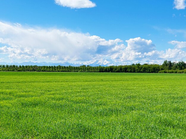 Scenics - nature in localita al monte