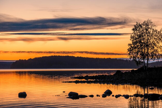 Scenics - nature in lulea