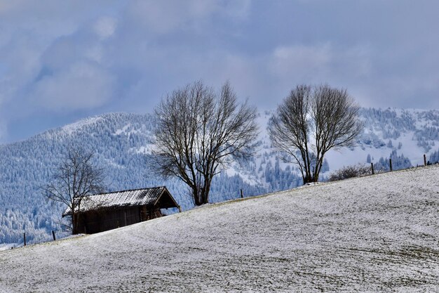 Scenics - nature at maria alm am steinernen meer