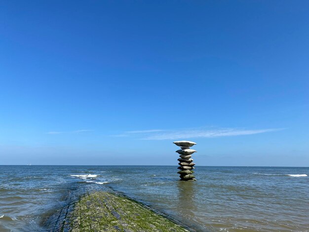 Scenics - nature in mariakerke-bad