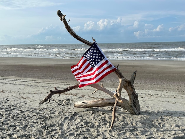 Photo scenics - nature at oak island