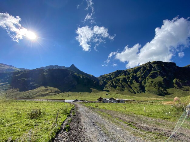 Scenics - nature in ober siez