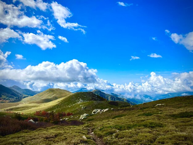 Scenics - nature in palneca