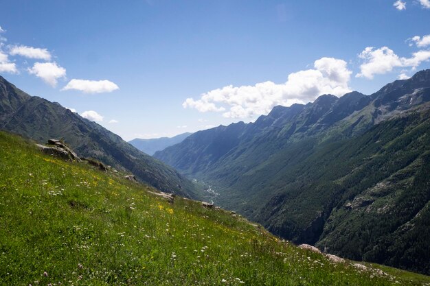 Scenics - nature in roure