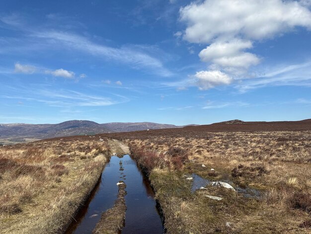 Scenics - nature in ruthven