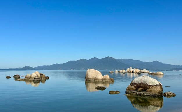 Scenics - nature in sao jose