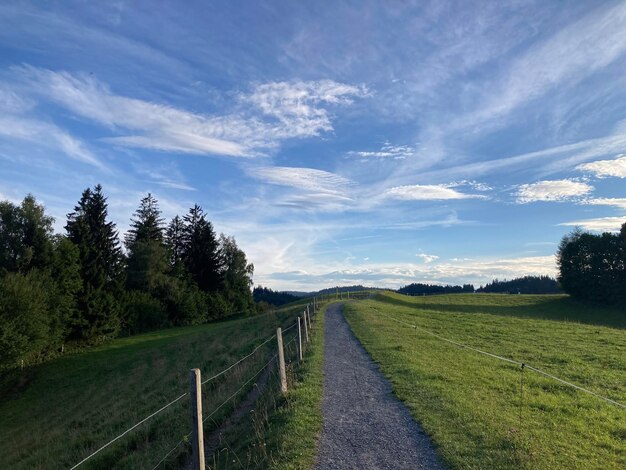 Scenics - nature in scheidegg