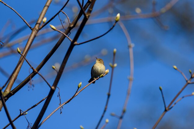 Scenics - nature in scheveningen