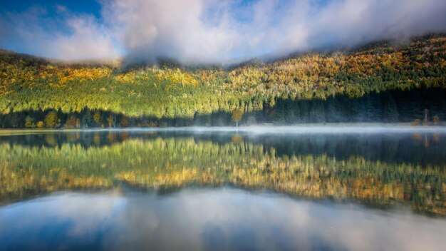 Scenics - nature in sfantu-gheorghe