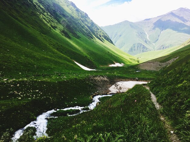 Scenics - nature in stepantsminda