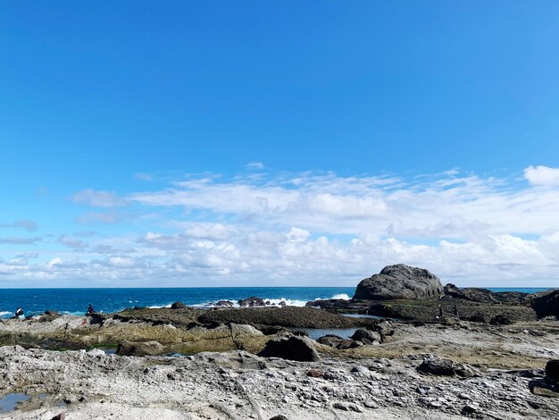 Scenics - nature at taitung coastal park