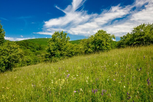 Scenics - nature in tengerszem