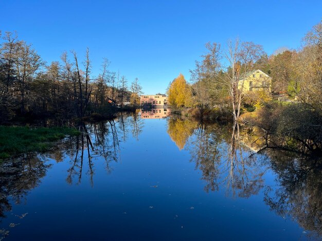 Scenics - nature in torshalla