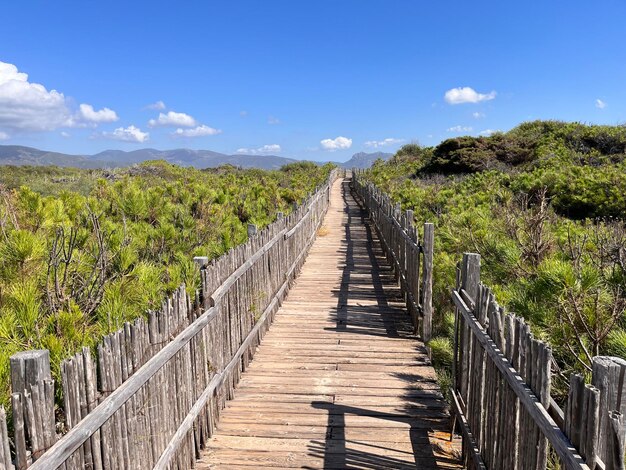 Scenics - nature in valledoria