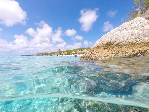 Scenics - nature in willemstad