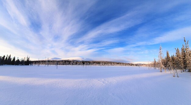 Scenics - nature in yllasjarvi