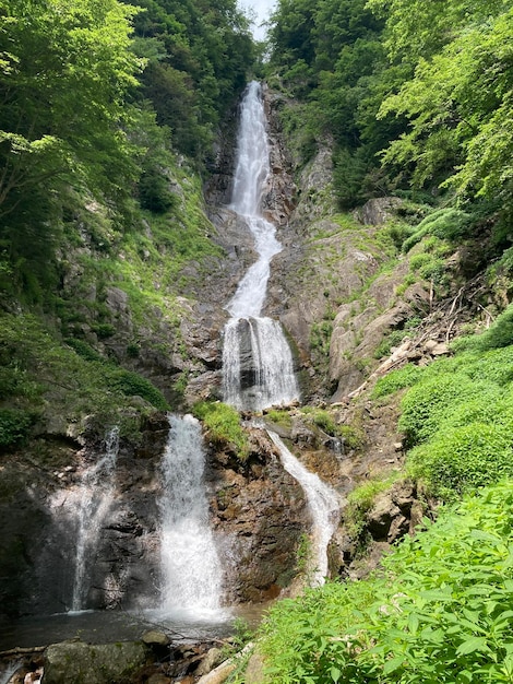 Photo scenics - nature in yumoto