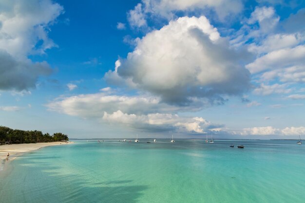 Scenics - nature in zanzibar