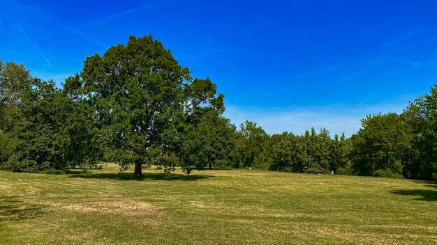 Scenics - nature