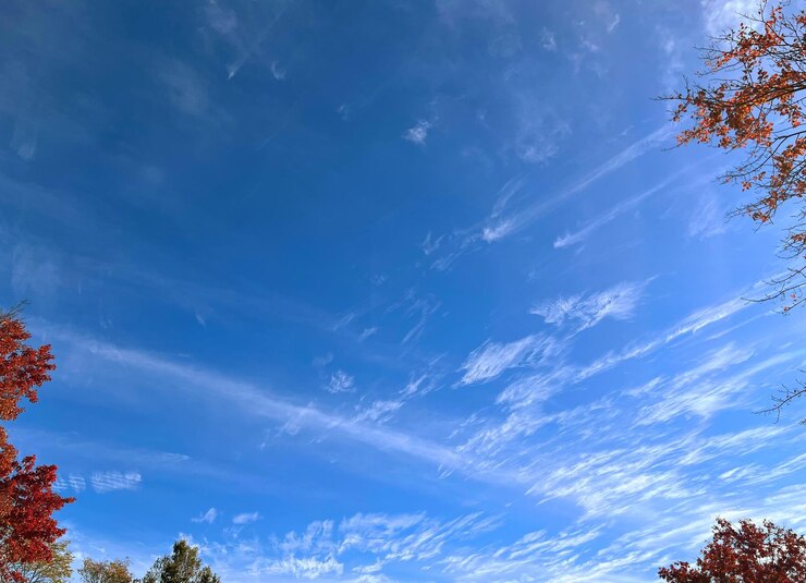 Photo 景色 - 自然