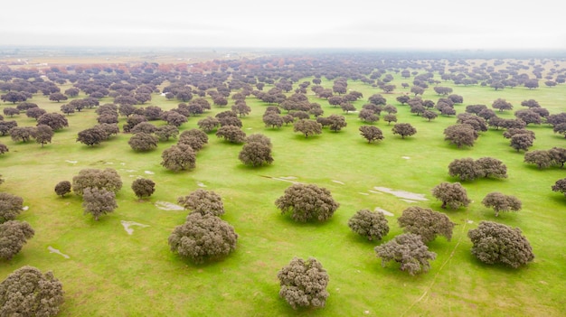 Scenisch uitzicht op boerderijen tegen de lucht