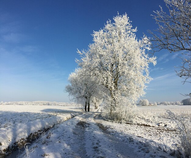 Foto scenisch uitzicht op het landschap tegen de hemel