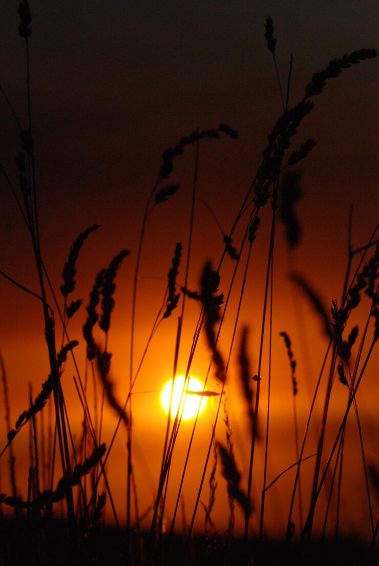Foto scenisch uitzicht op het silhouetlandschap tegen de hemel bij zonsondergang