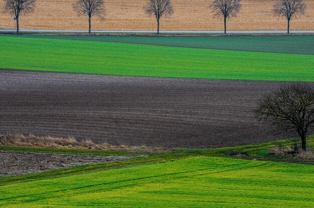 Foto scenisch uitzicht op het veld