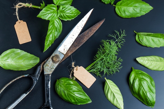 Schaar met enkele aromatische kruiden