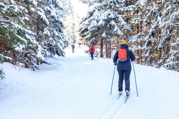 Schaatsers in het parcours in het winter besneeuwde bos