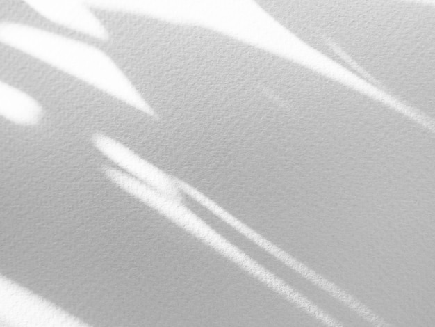 Schaduw AchtergrondAbstract Licht Wit op Muur VloerOverlay Zonlicht Plant Blad Minimale MockupGrijze Oppervlakte Architectuur op onscherpte Cement Marmeren Tegel Achtergrond RuimteGrijze Kleur Luxe Patroon Textuur