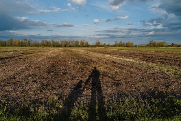 Schaduw op aarde van volwassene en kind die elkaar de hand geven Concept van duurzaamheid Gezinsecologie