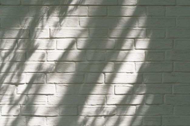 Schaduw van een plant op een witte bakstenen muur op een zonnige dag lichte schaduwachtergrond