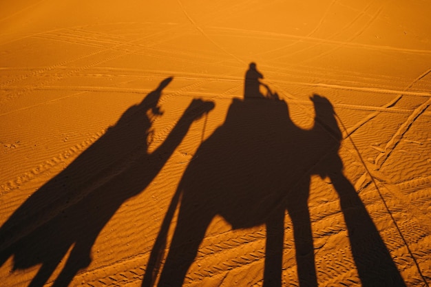 Schaduw van mensen en kamelen op het zand